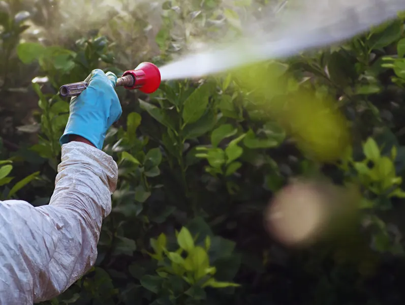 Tree and shrub care specialist pruning trees in a Harbor Springs, MI yard
